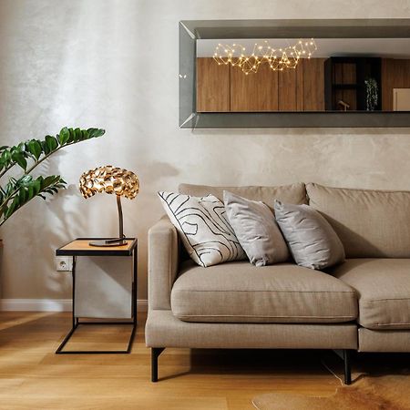 Pure Living Apartment W. Private Parking ブラショフ エクステリア 写真