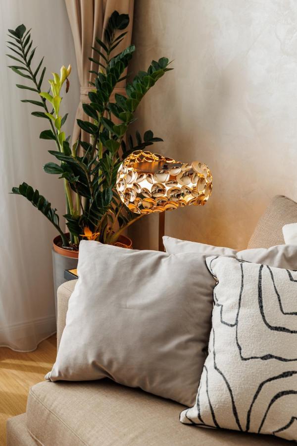 Pure Living Apartment W. Private Parking ブラショフ エクステリア 写真