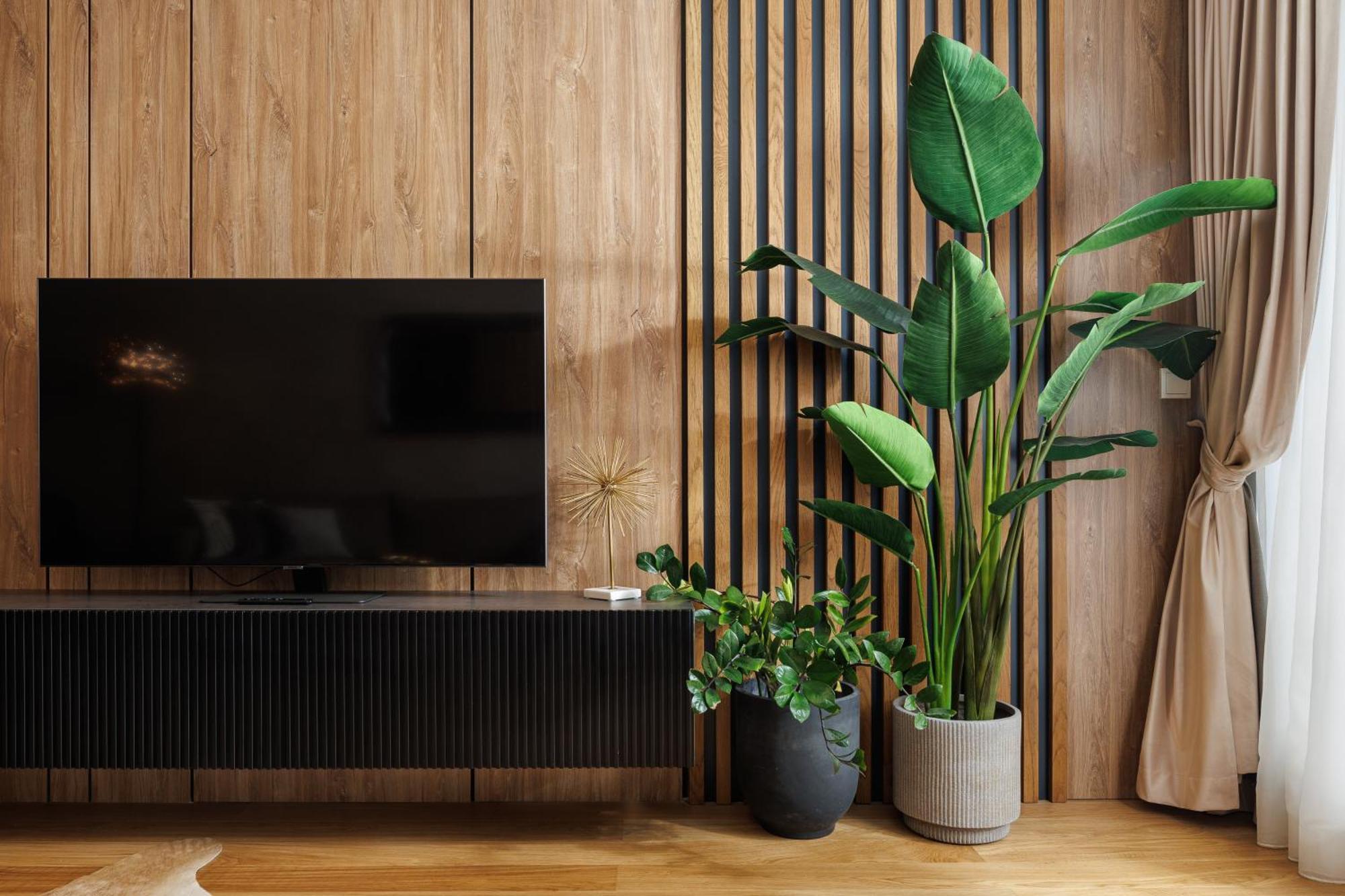 Pure Living Apartment W. Private Parking ブラショフ エクステリア 写真
