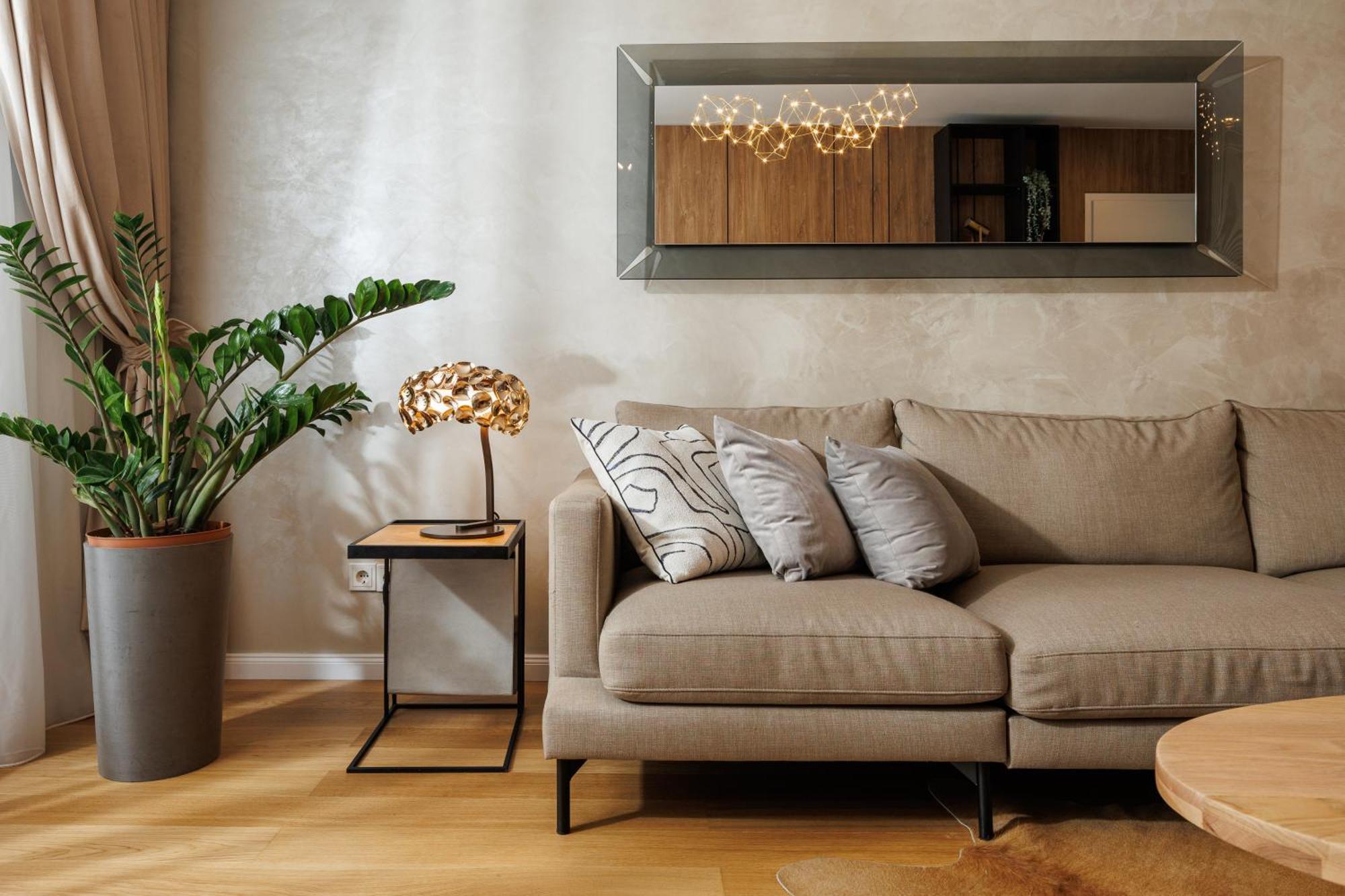 Pure Living Apartment W. Private Parking ブラショフ エクステリア 写真